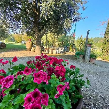 Azienda Agricola Polveraia San Gimignano Dış mekan fotoğraf