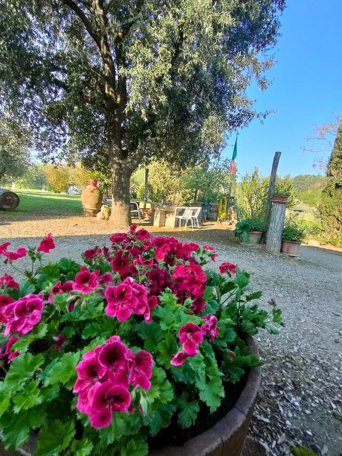 Azienda Agricola Polveraia San Gimignano Dış mekan fotoğraf
