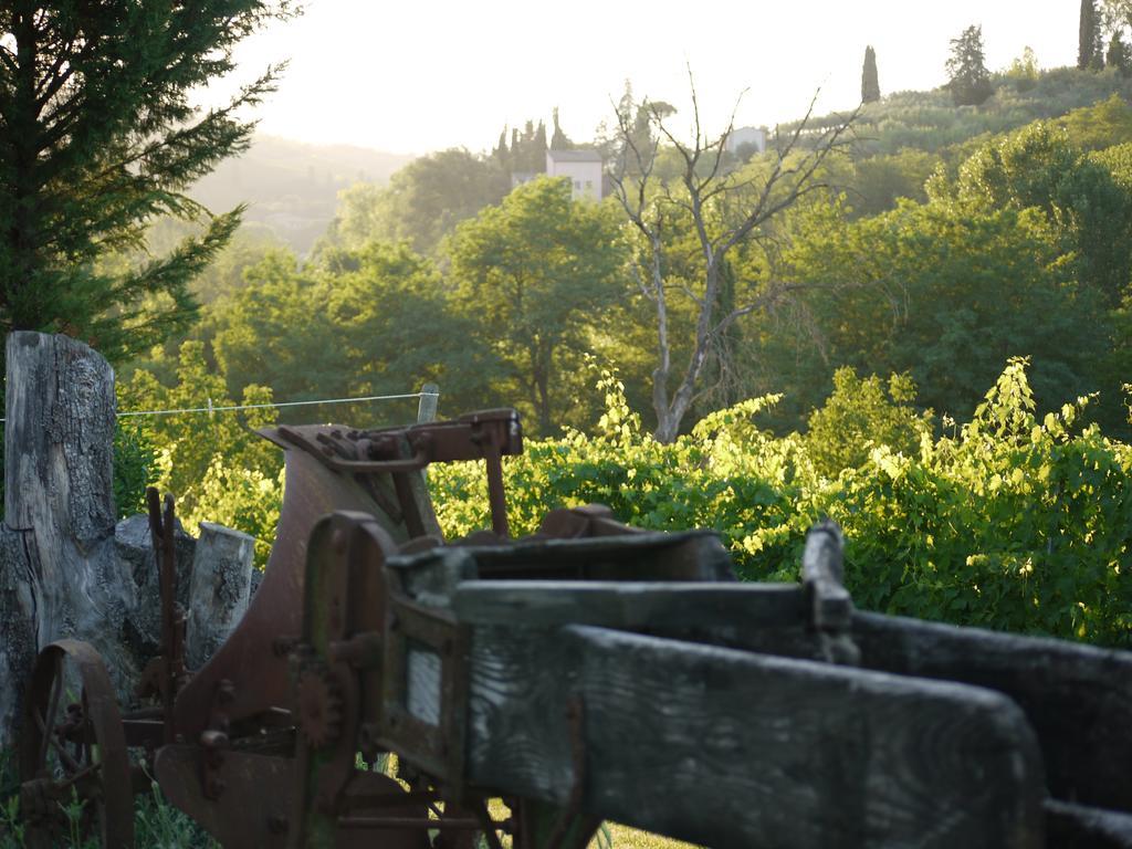 Azienda Agricola Polveraia San Gimignano Dış mekan fotoğraf