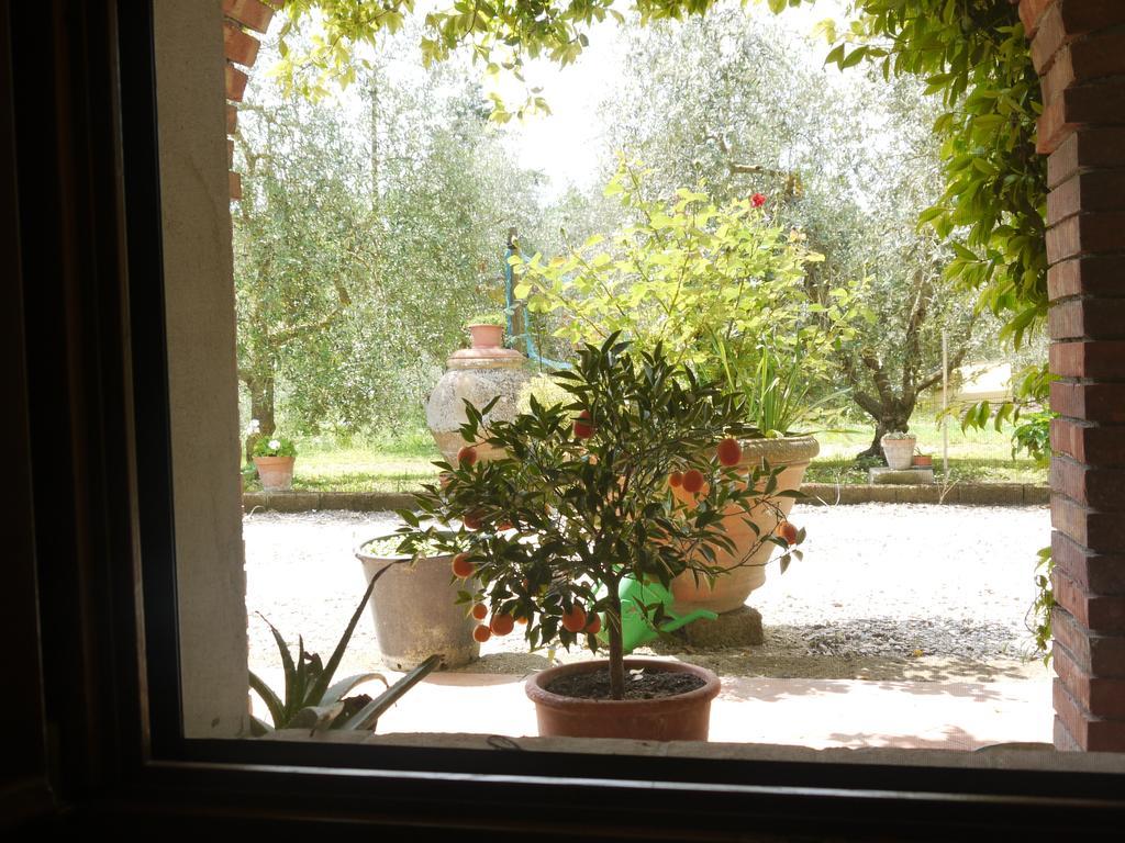 Azienda Agricola Polveraia San Gimignano Dış mekan fotoğraf