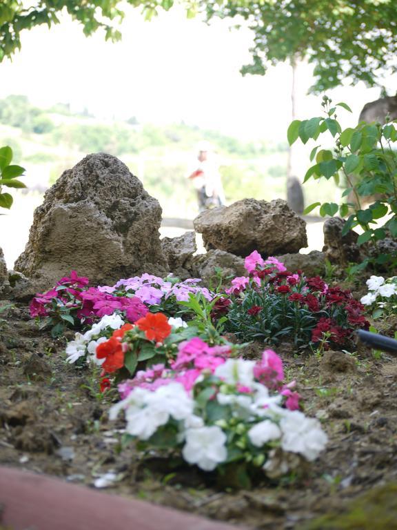 Azienda Agricola Polveraia San Gimignano Dış mekan fotoğraf
