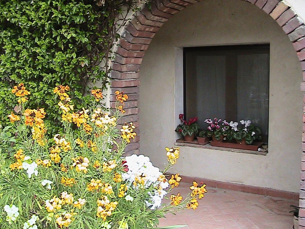 Azienda Agricola Polveraia San Gimignano Dış mekan fotoğraf
