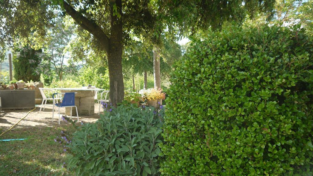 Azienda Agricola Polveraia San Gimignano Dış mekan fotoğraf