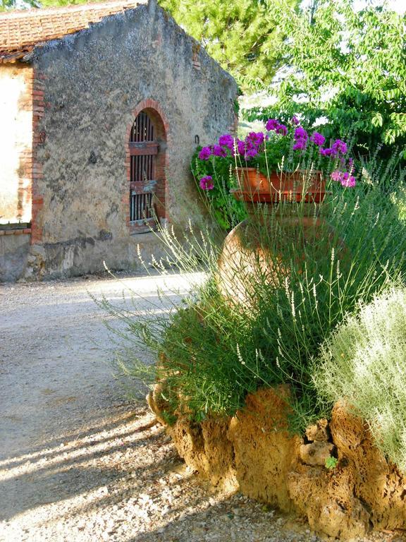 Azienda Agricola Polveraia San Gimignano Dış mekan fotoğraf