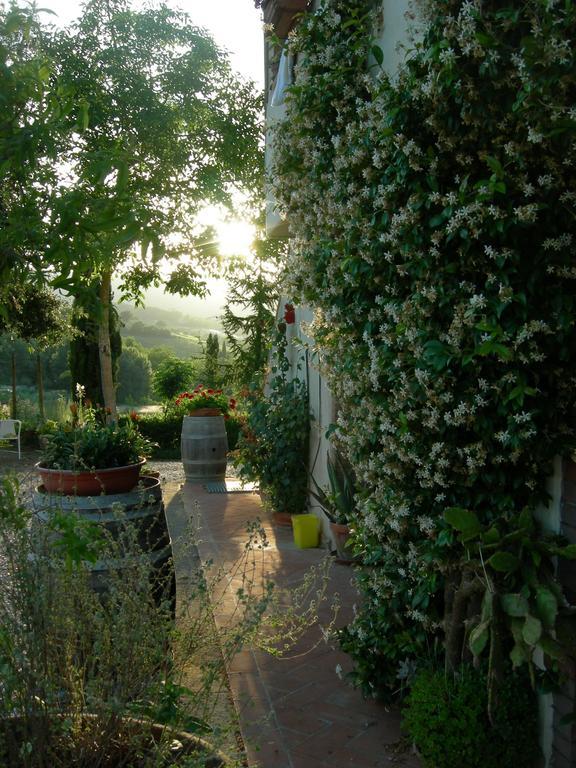 Azienda Agricola Polveraia San Gimignano Dış mekan fotoğraf