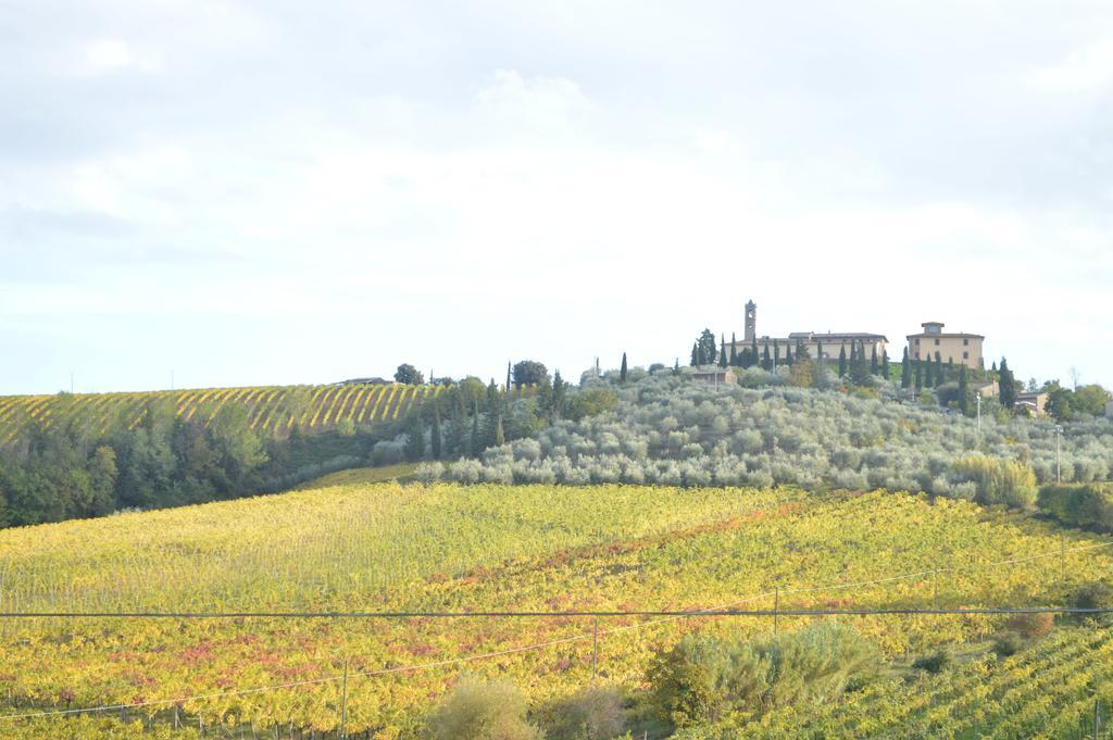 Azienda Agricola Polveraia San Gimignano Dış mekan fotoğraf