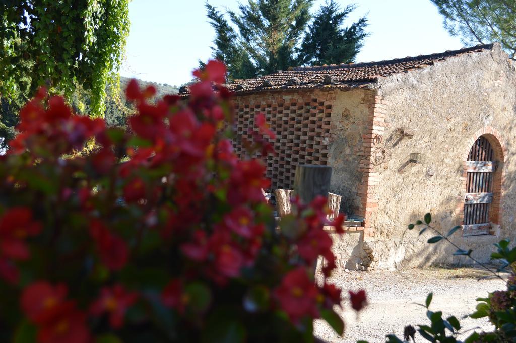 Azienda Agricola Polveraia San Gimignano Dış mekan fotoğraf
