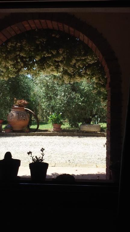 Azienda Agricola Polveraia San Gimignano Dış mekan fotoğraf
