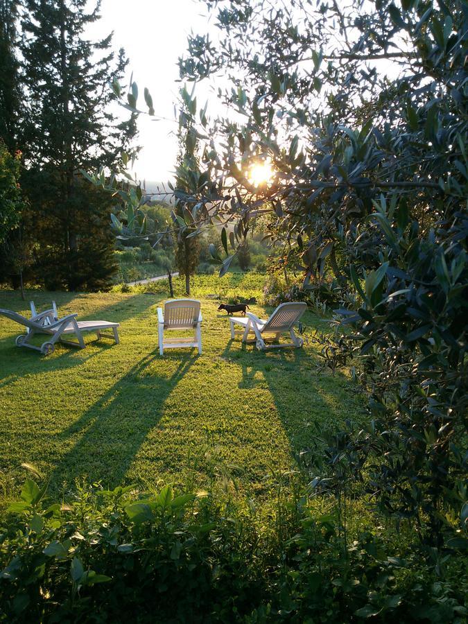 Azienda Agricola Polveraia San Gimignano Dış mekan fotoğraf