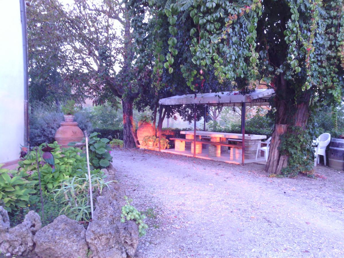 Azienda Agricola Polveraia San Gimignano Dış mekan fotoğraf